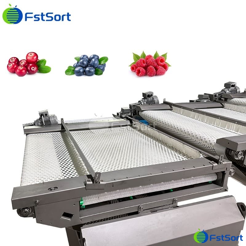 images/1760413068227blueberry sorting machine.jpg